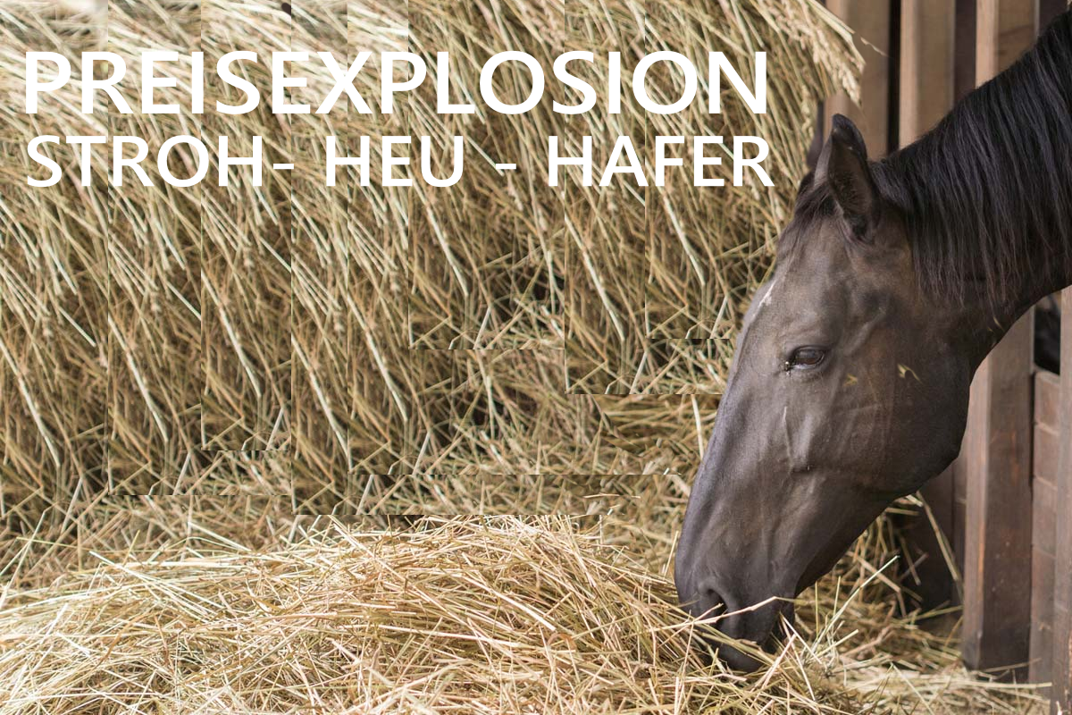 Preisexplosion in Schwedt ?